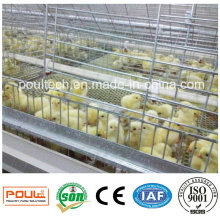 Jaula e incubadora de pollos de pollo para granjas avícolas